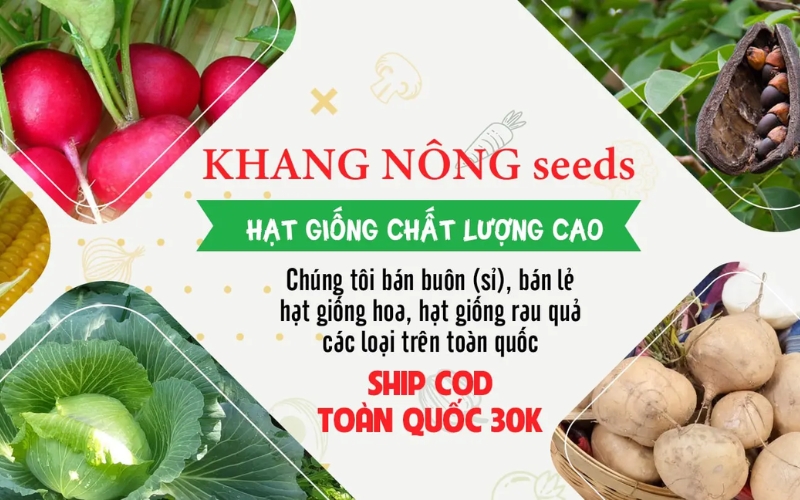 cửa hàng hạt giống Khang Nông