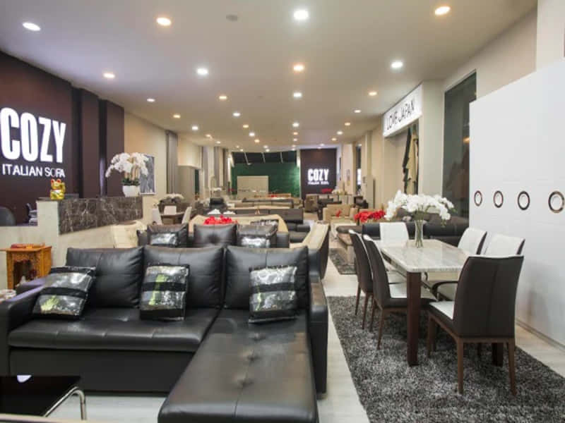 Showroom nội thất văn phòng COZY