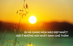 đi hà giang mùa nào đẹp nhất