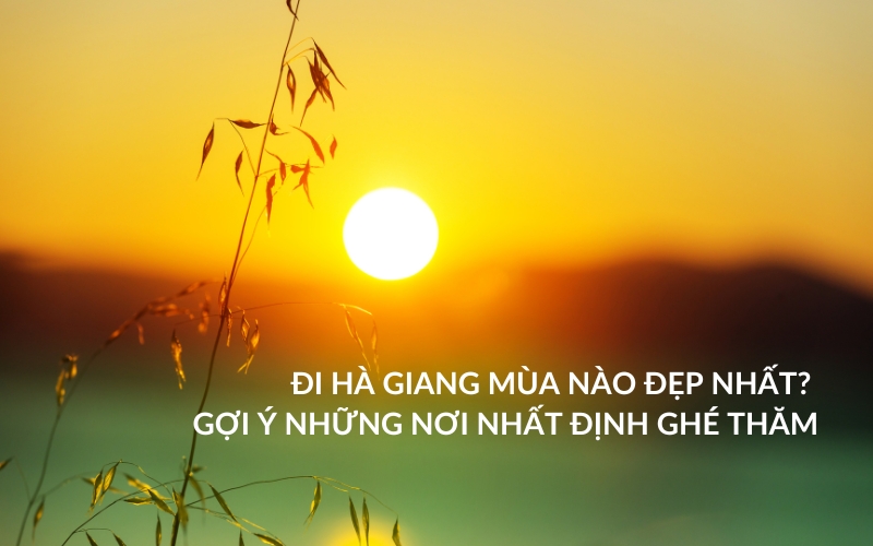 đi hà giang mùa nào đẹp nhất