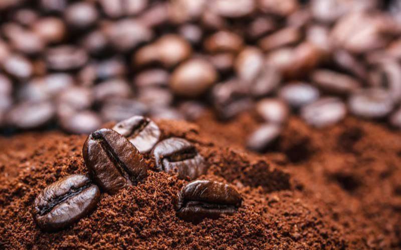 1 kg cà phê pha được bao nhiêu ly