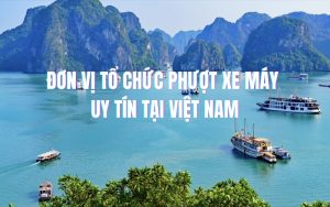 đơn vị tổ chức phượt xe máy uy tín tại việt nam